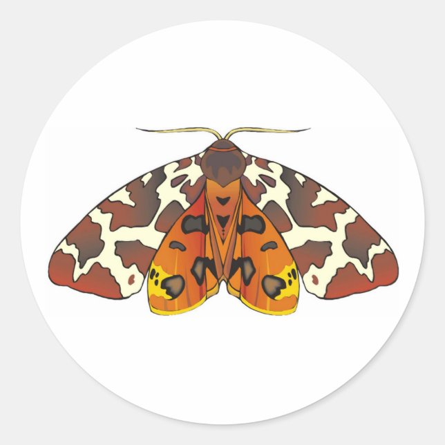 Tiger Moth Runder Aufkleber (Vorderseite)