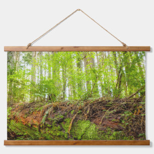 Tiger Mountain   Issaquah, Bundesstaat Washington Wandteppich Mit Holzrahmen