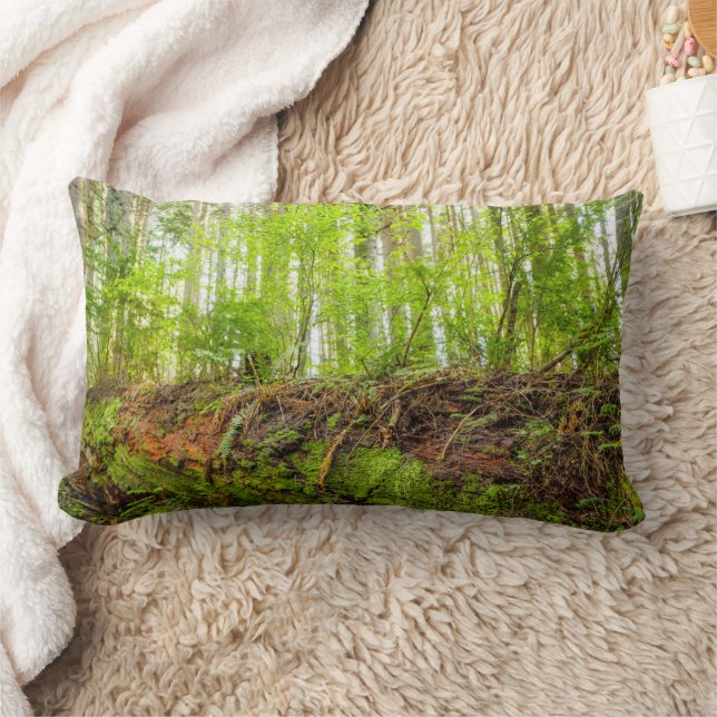 Tiger Mountain | Issaquah, Staat Washington Lendenkissen (Decke)