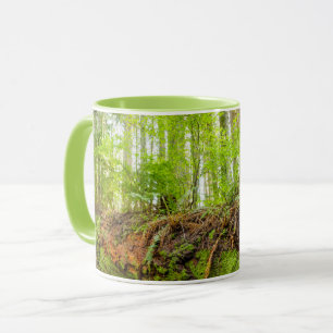 Tiger Mountain Issaquah, Staat Washington Tasse