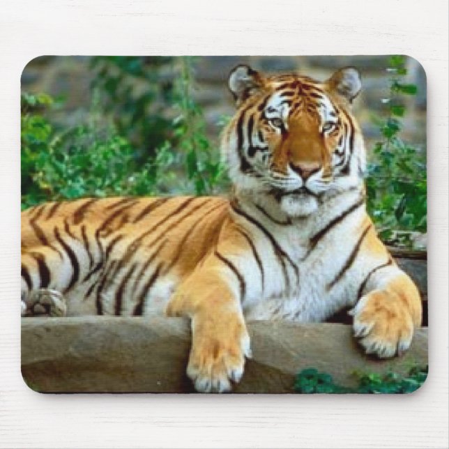 Tiger Mousepad (Vorne)