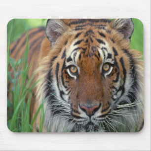 Tiger Mousepad