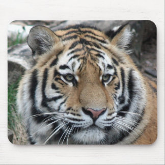 Tiger Mousepad