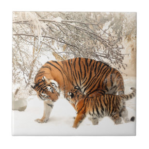 Tiger Mutter und Kind Fliese