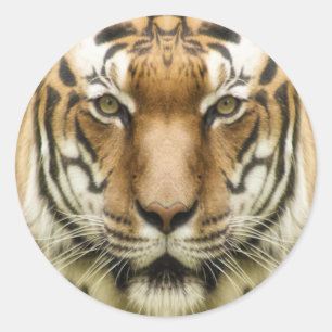 Tiger Nah-Up-Aufkleber Runder Aufkleber