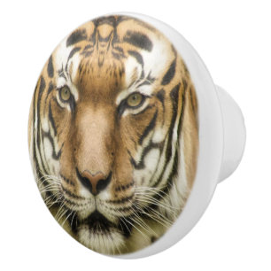 Tiger Nah-Up Keramik Drehknopf Keramikknauf