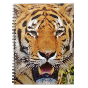 Tiger Notizblock