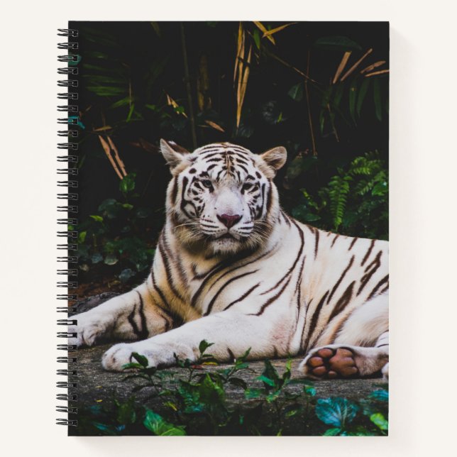 Tiger Notizbuch (Vorderseite)