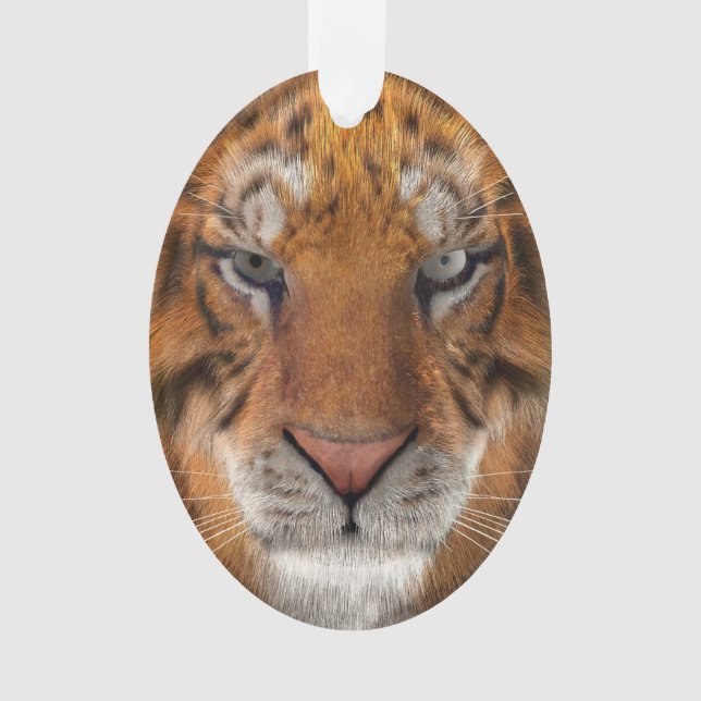 Tiger Ornament (Vorderseite)