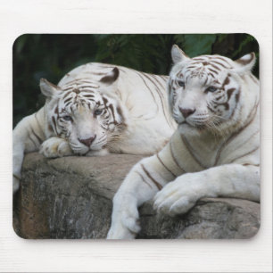 Tiger-Paare Mousepad