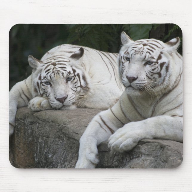 Tiger-Paare Mousepad (Vorne)