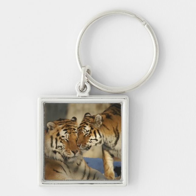 Tiger-Paare Schlüsselanhänger (Vorne)