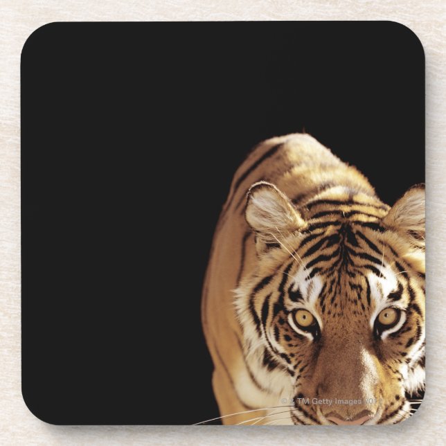 Tiger (Panthera der Tigris) Untersetzer (Vorderseite)