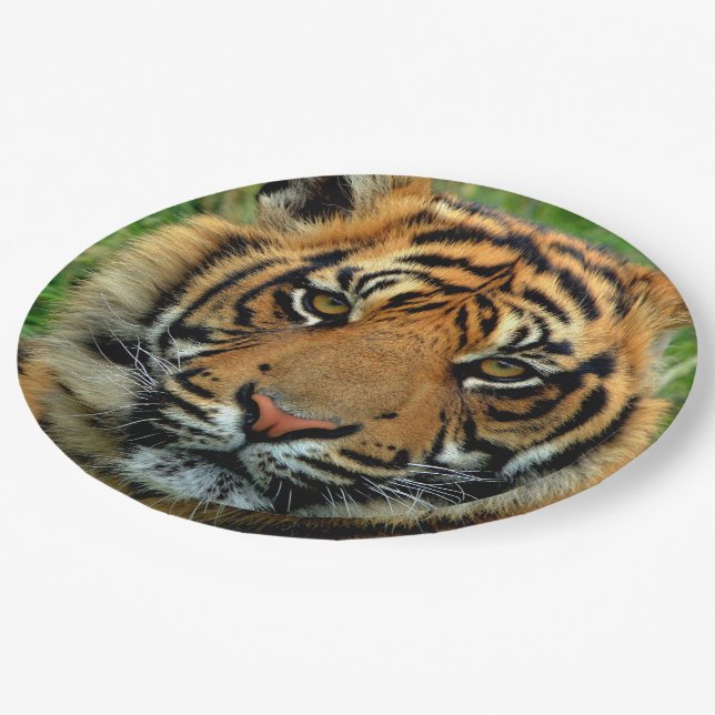 Tiger-PapierTeller Pappteller (Schrägansicht)