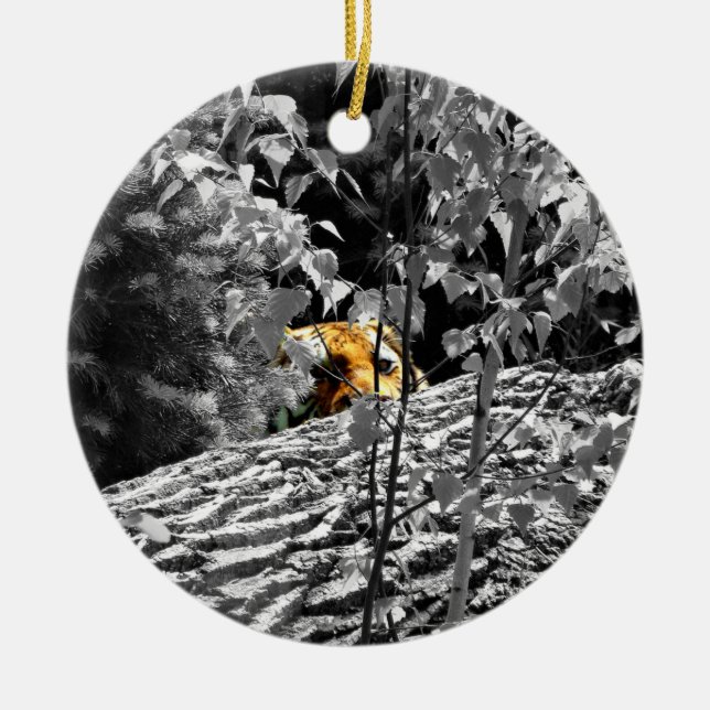 Tiger Peek-a-boo Ornament (Vorne)