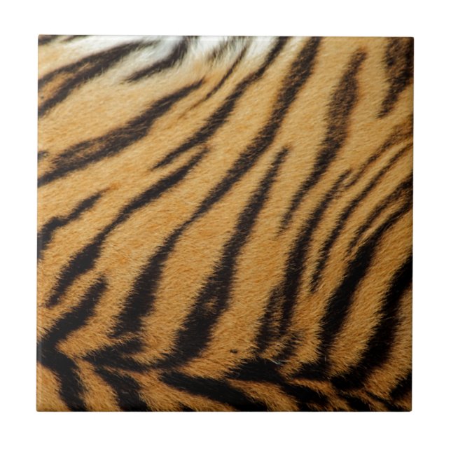 Tiger-Pelz-Streifen Fliese (Vorderseite)
