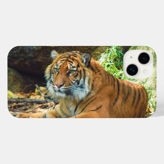 Tiger Phone Case iPhone 14 Plus Hülle (Rückseite (Horizontal))