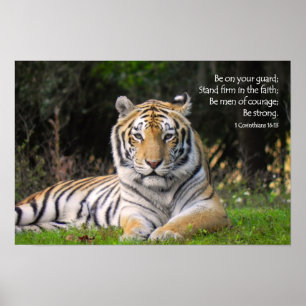 Tiger-Plakat Poster