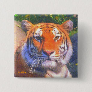 Tiger-Platz-Knopf Button