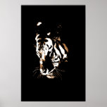 Tiger Pop Art Poster<br><div class="desc">Pop Art Art Art Black & White Tiger Image Posters Prints - Wild Big Cats Pop Art Images</div>