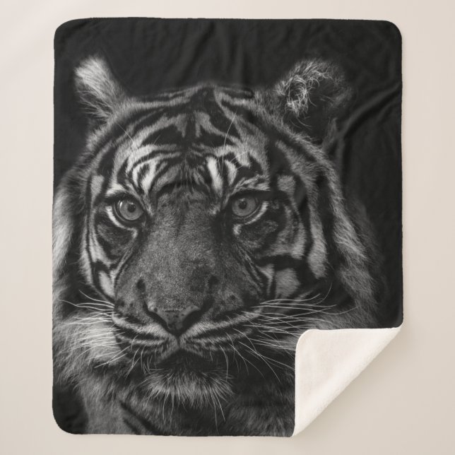 TIGER PORTRAIT IN BW SHERPADECKE (Vorderseite)