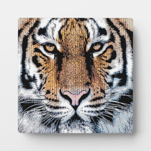 Tiger Portrait in Graphic Press Style Fotoplatte