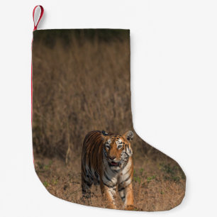 TIGER PORTRAIT KLEINER WEIHNACHTSSTRUMPF