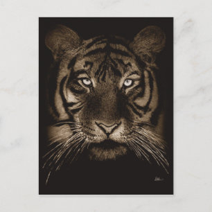Tiger Postcard Postkarte