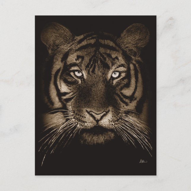 Tiger Postcard Postkarte (Vorderseite)