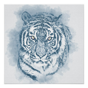 Tiger Poster