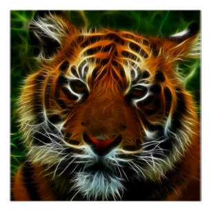 TIGER POSTER