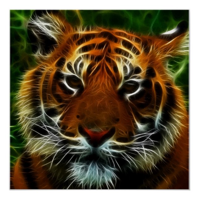 TIGER POSTER (Vorderseite)