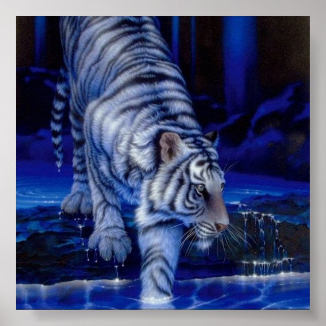 Tiger Poster (Vorne)