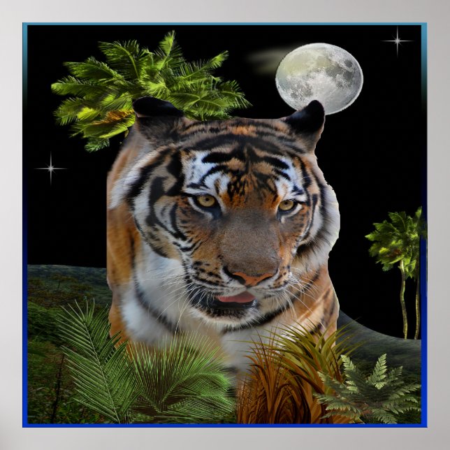 Tiger Poster (Vorne)