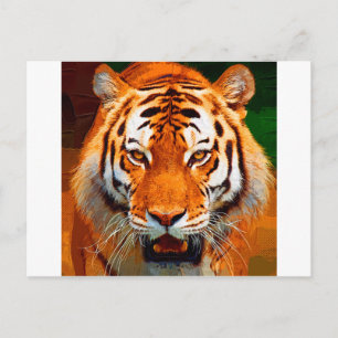 Tiger Postkarte