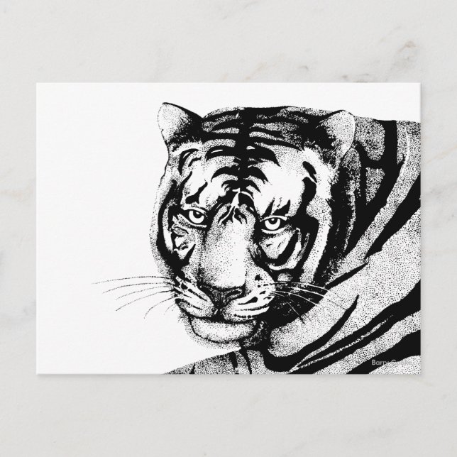 TIGER POSTKARTE (Vorderseite)