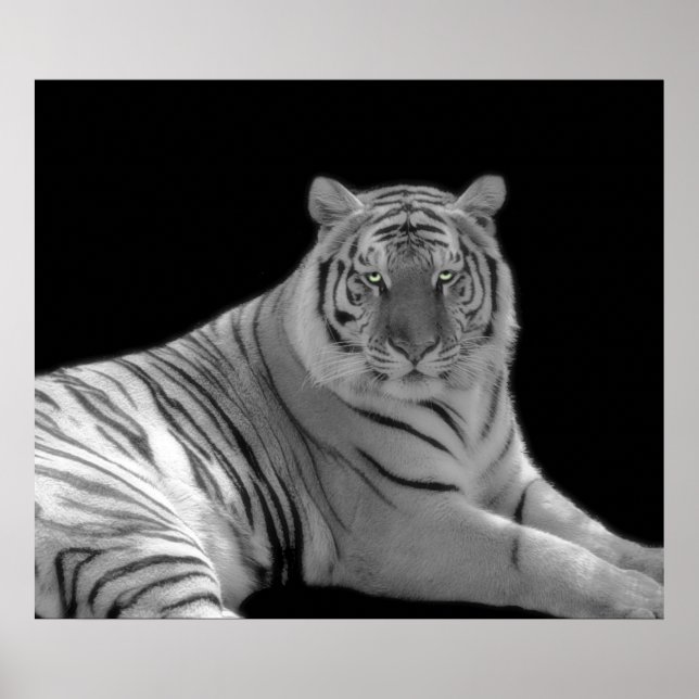 Tiger Print in Schwarzweiß Poster (Vorne)