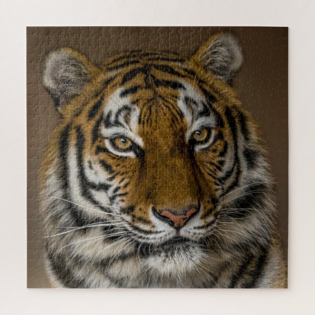 Tiger-Profil (Vertikal)