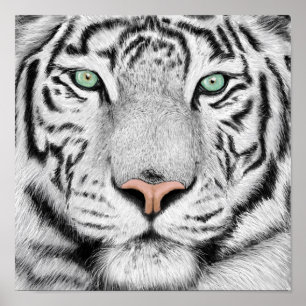 Tiger Profile Poster