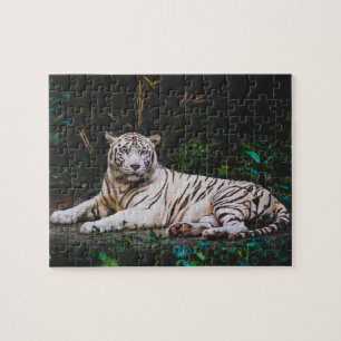 Tiger-Puzzle