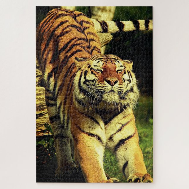 Tiger Puzzle (Vertical)