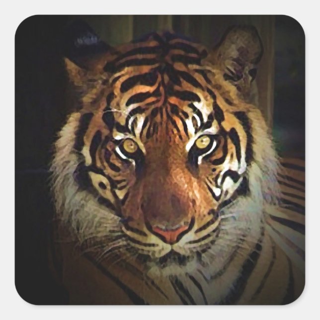 Tiger Quadratischer Aufkleber (Vorderseite)