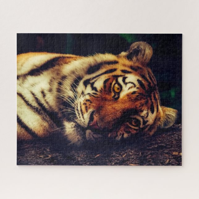 Tiger-Rätsel (Horizontal)