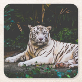 Tiger Rechteckiger Pappuntersetzer