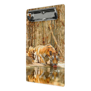 Tiger Reflection Clipboard Mini Klemmbrett