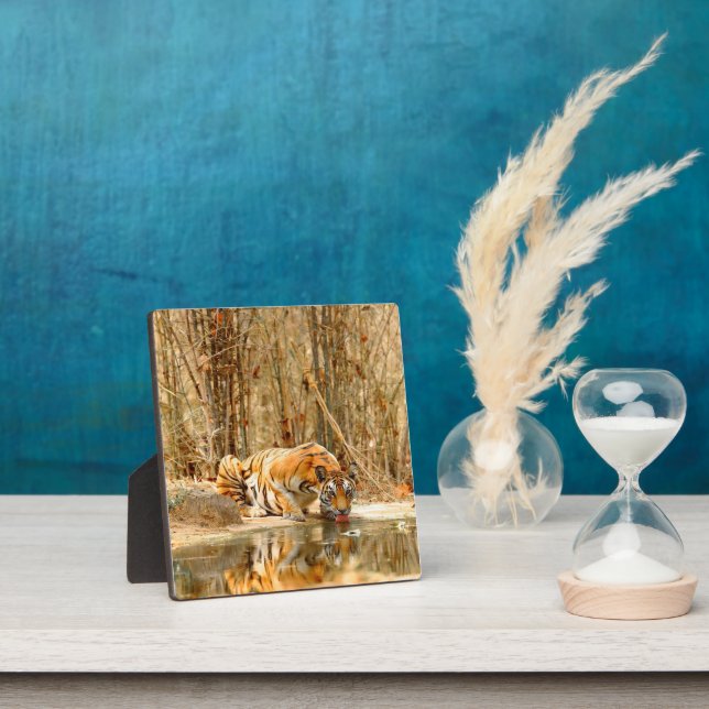 Tiger Reflektion Fotoplatte (InSitu)