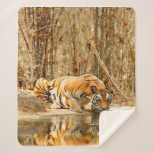 Tiger Reflektion Sherpadecke