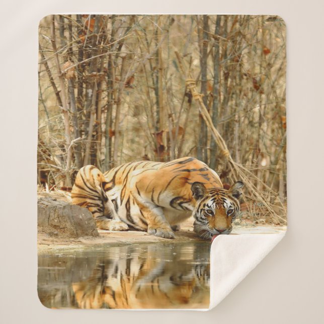 Tiger Reflektion Sherpadecke (Vorderseite)