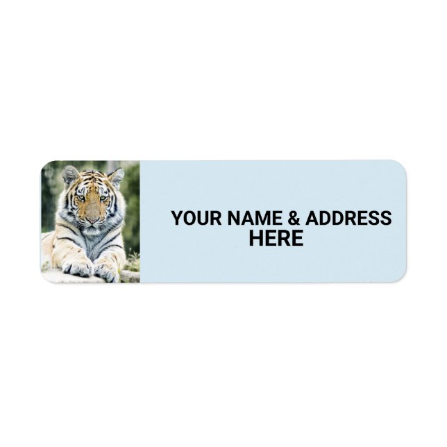 TIGER RÜCKSENDEADRESSEN-AUFKLEBER (Vorne)