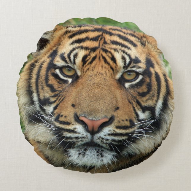 Tiger Rundes Kissen (Vorderseite)